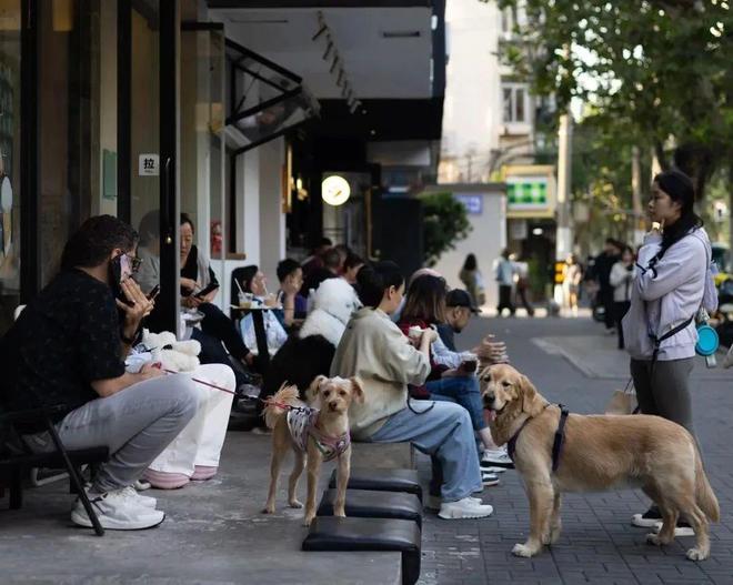 了双11爱上了“老年严选”OG视讯这届脆皮年轻人抛弃(图1)